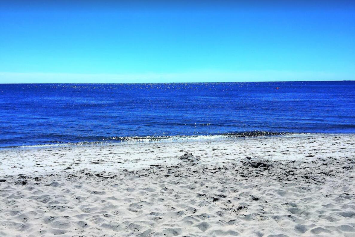 15 Nehoiden Road Mashpee, MA 02649 - Photo 40 of 40 a view of a yard with a house