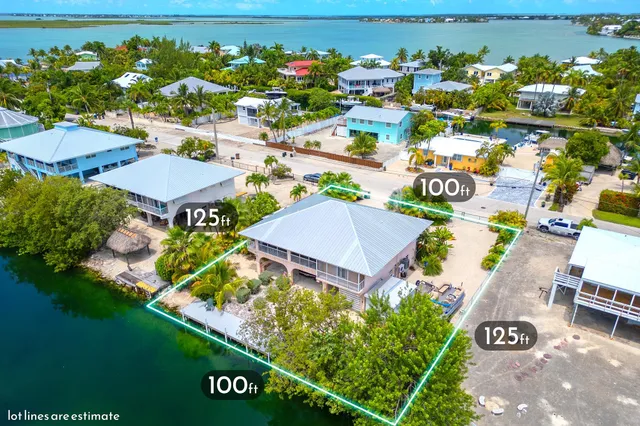 an aerial view of a house with a garden