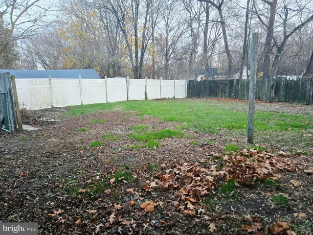 a view of backyard with tree