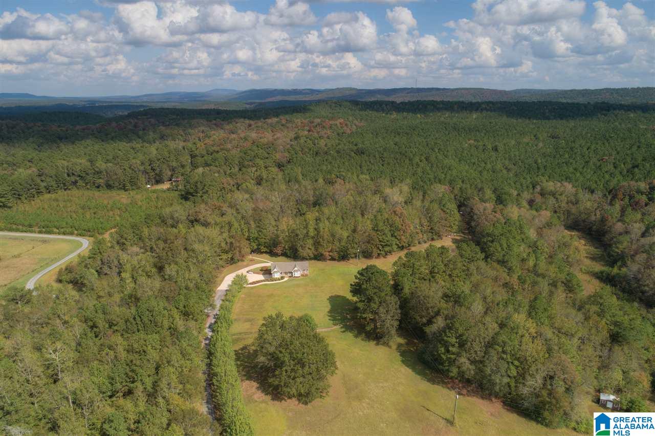 330 Conelia Lane Hayden, AL 35079 - Photo 33 of 38