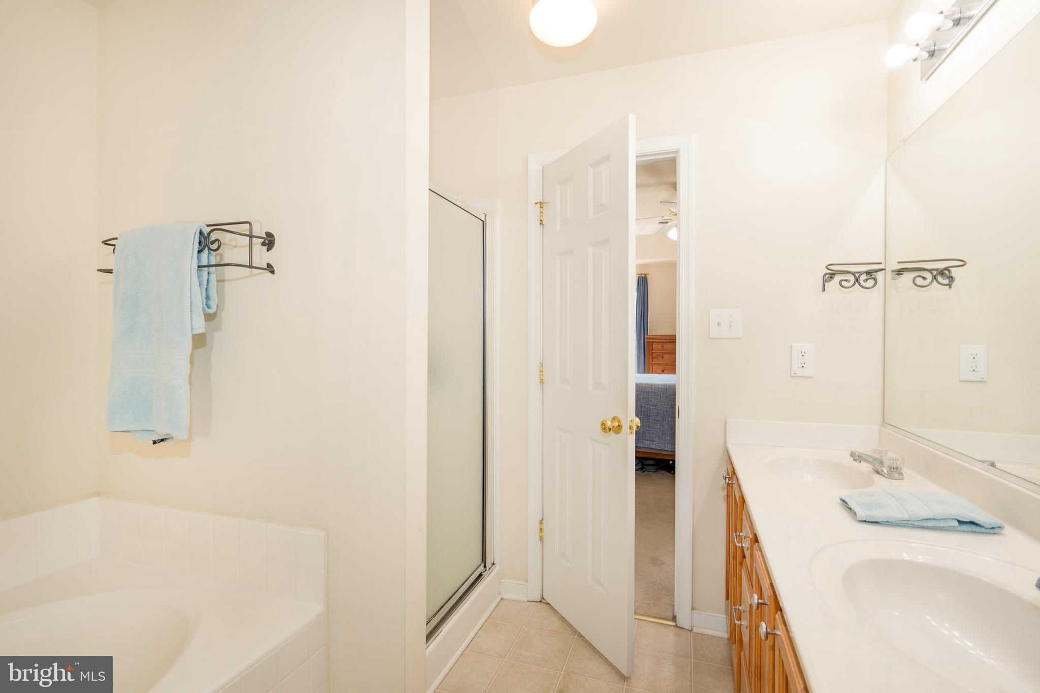 108 Apple Orchard Road Louisa, VA 23093 - Photo 20 of 35 Primary Bathroom