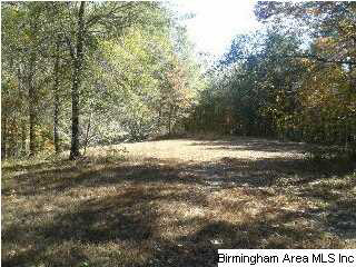 14066 Milldale Road Brookwood, AL 35444 - Photo 6 of 22