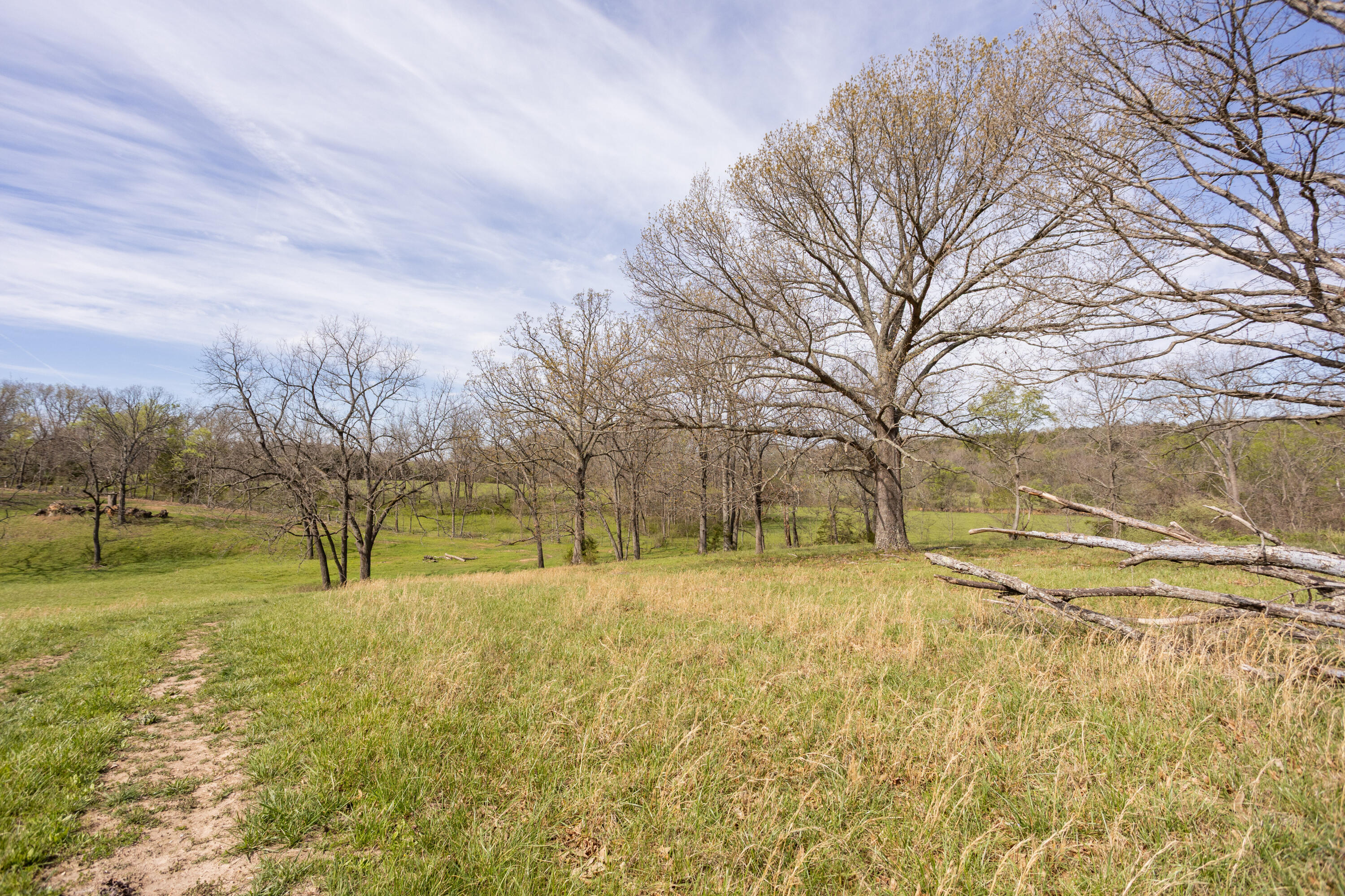 9795 Co Road Ava, MO 65608 - Photo 25 of 93 Douglas198(MLSRES)-33