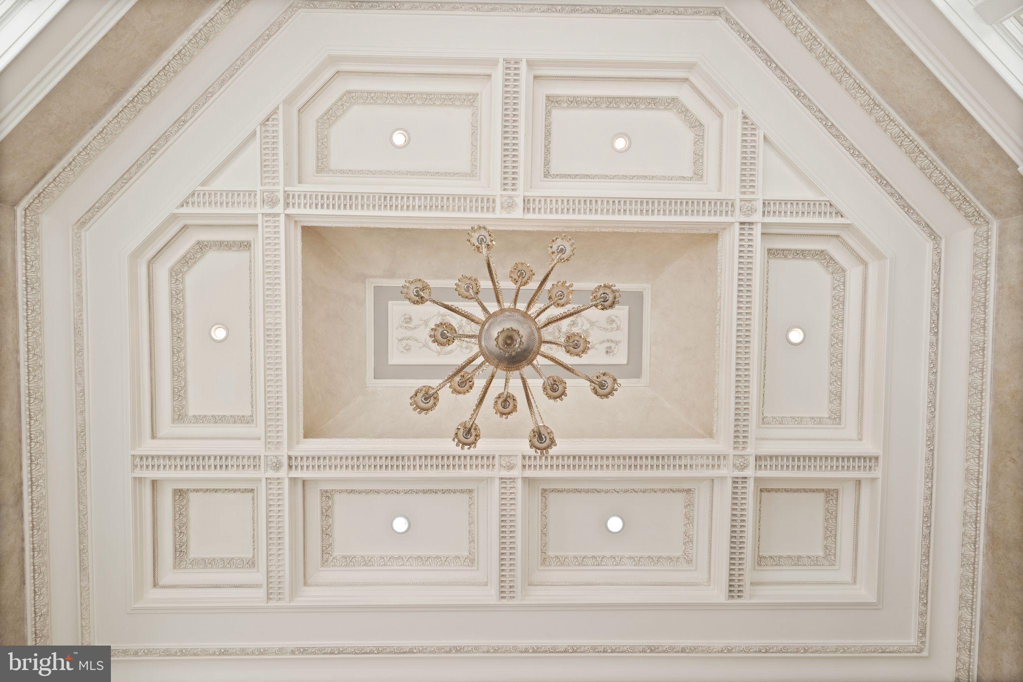938 Peacock Station Road McLean, VA 22102 - Photo 16 of 50 Solarium Ceiling