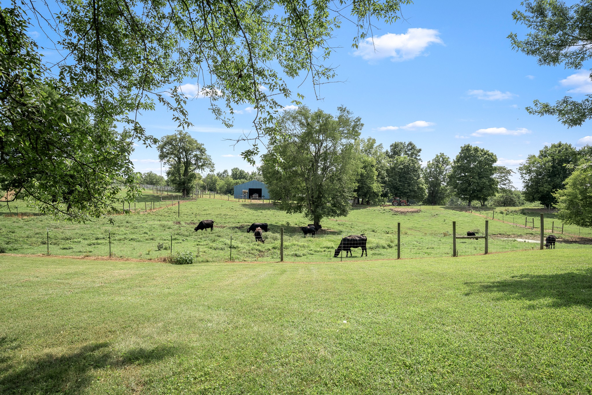 206 Hickerson Road Wartrace, TN 37183 - Photo 78 of 100 Gallery Image 78