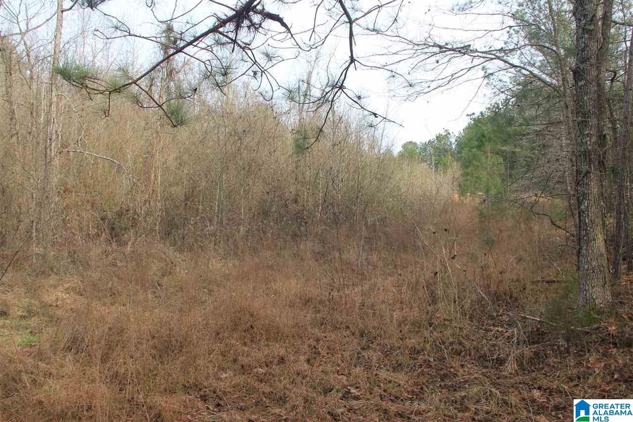 400 Eagle Lane Riverside, AL 35135 - Photo 6 of 8