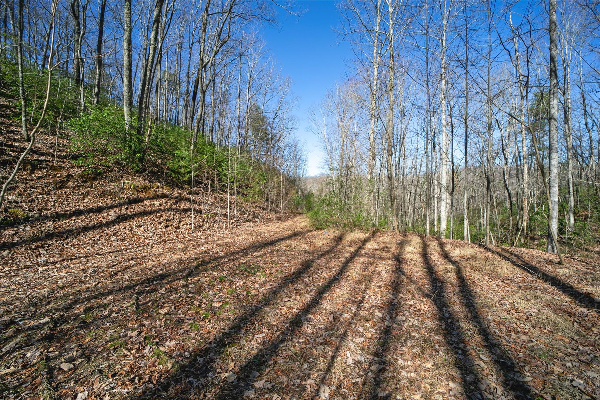 Off) Howard Gap Road Saluda, NC 28773 - Photo 1 of 13 Gallery Image 1