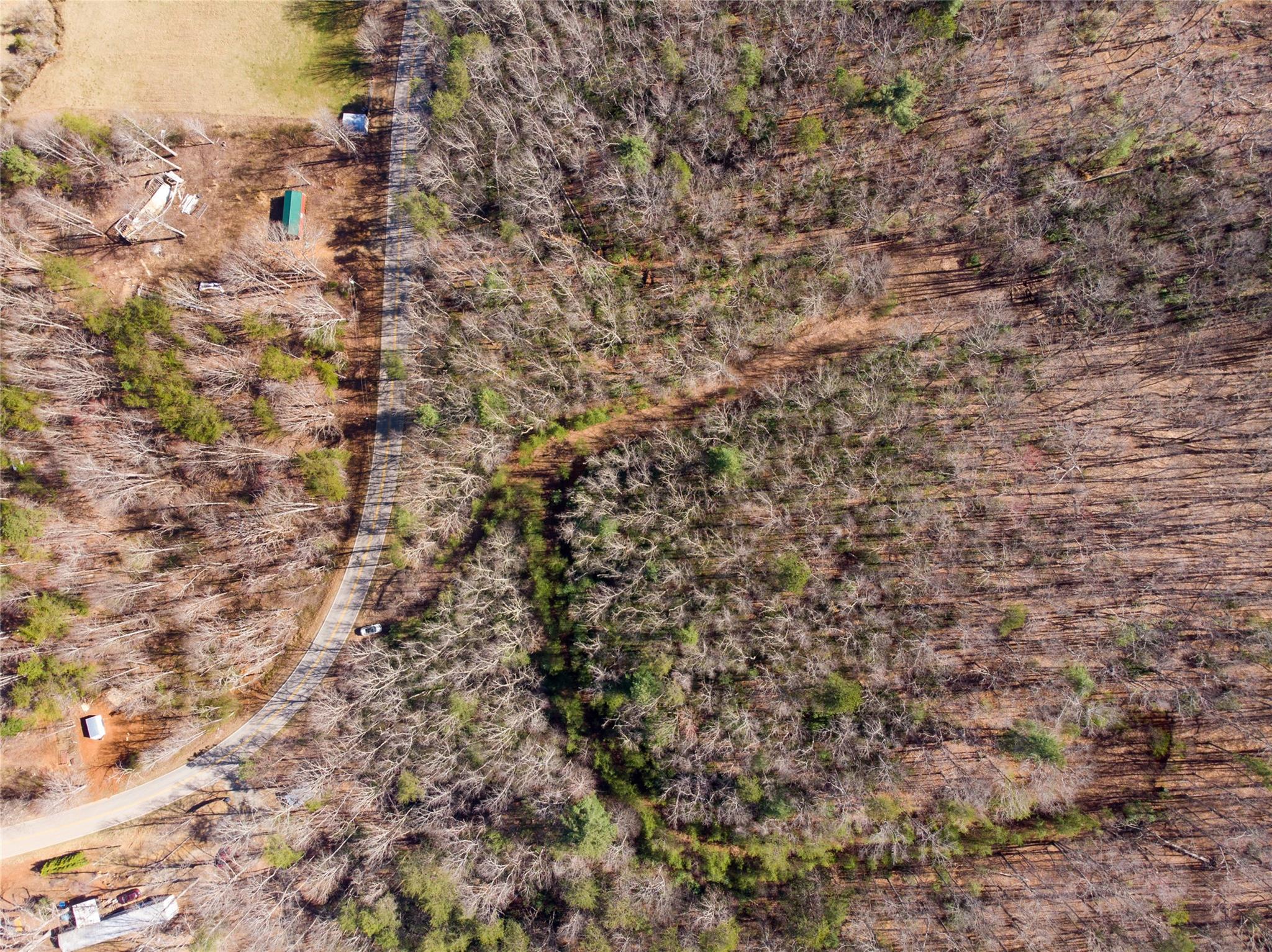 Off) Howard Gap Road Saluda, NC 28773 - Photo 11 of 13 Gallery Image 11