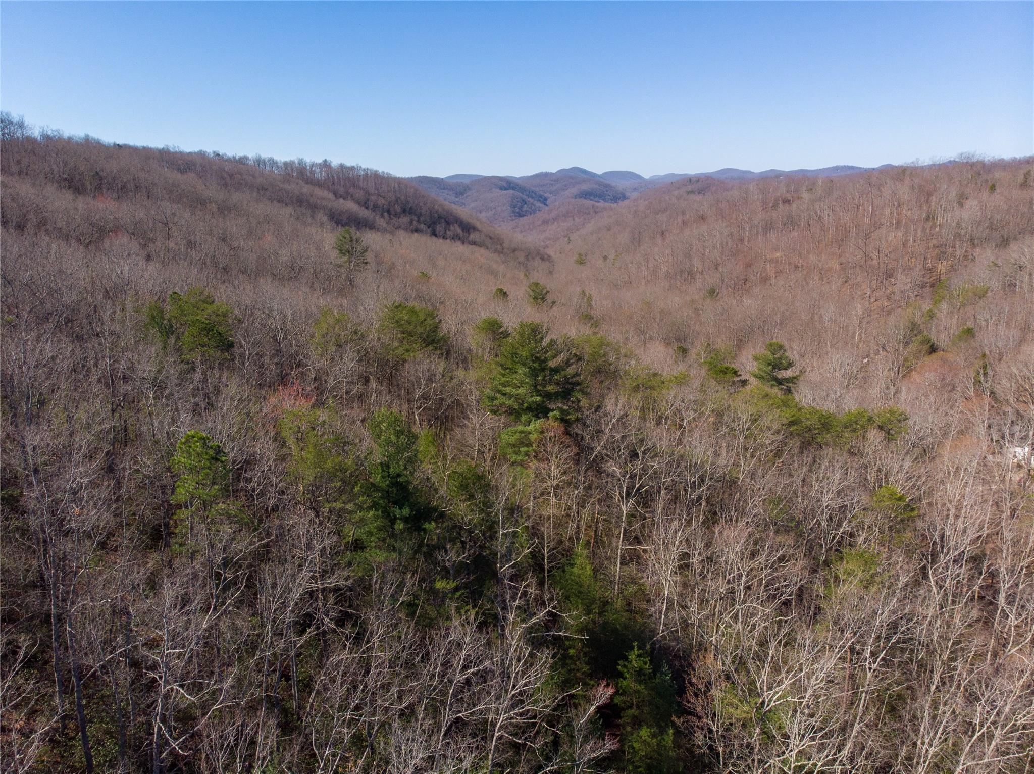 Off) Howard Gap Road Saluda, NC 28773 - Photo 12 of 13 Gallery Image 12