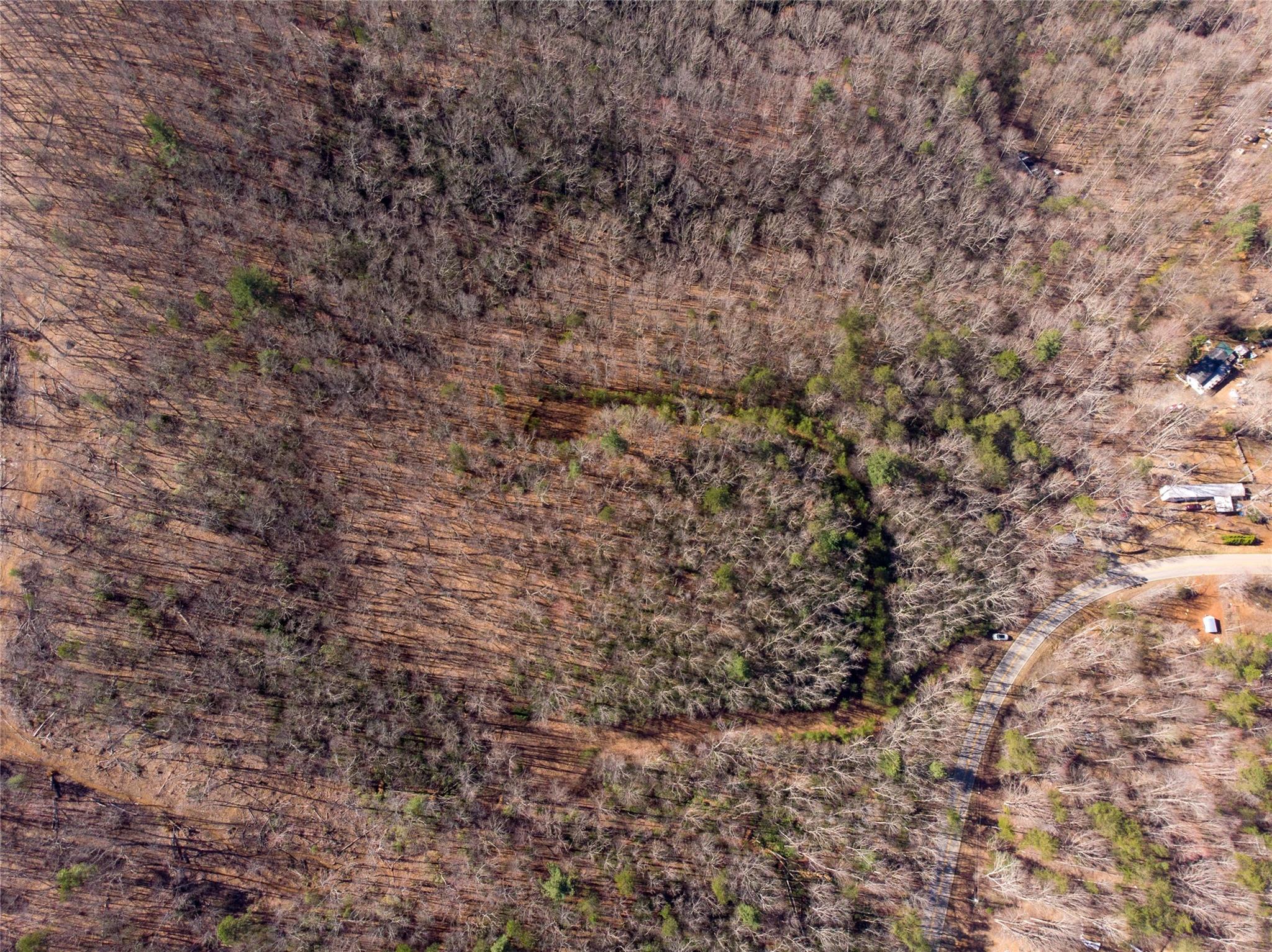Off) Howard Gap Road Saluda, NC 28773 - Photo 13 of 13 Gallery Image 13