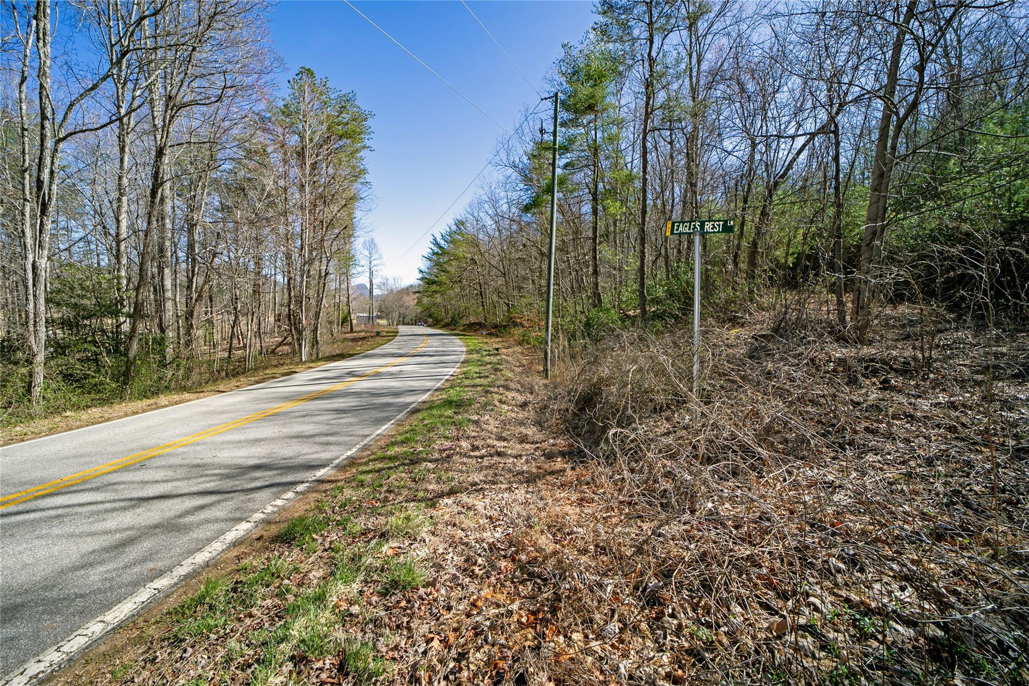 Off) Howard Gap Road Saluda, NC 28773 - Photo 2 of 13 Gallery Image 2