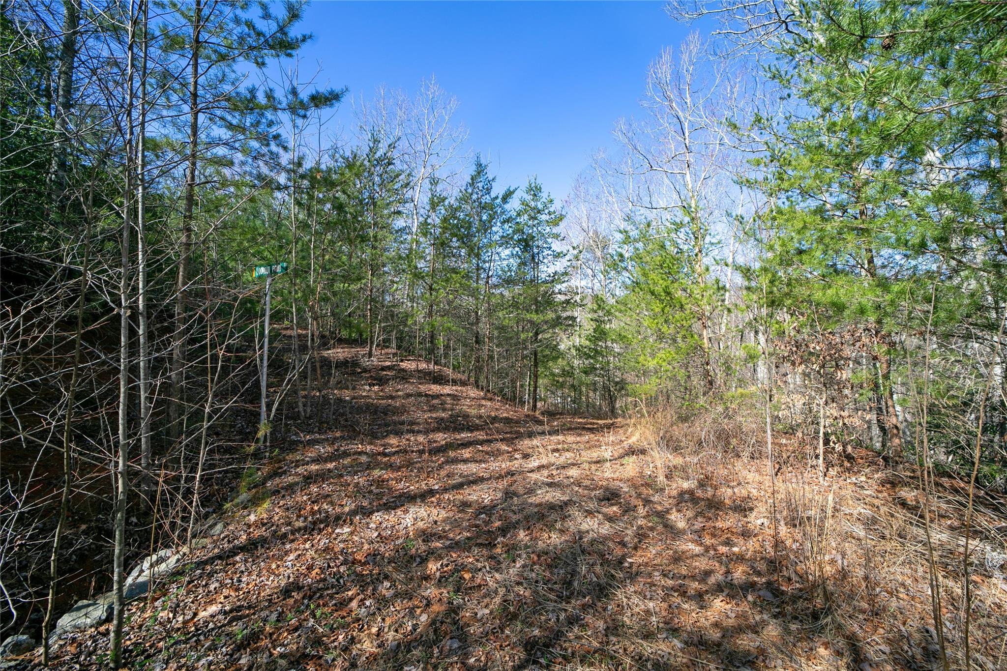 Off) Howard Gap Road Saluda, NC 28773 - Photo 3 of 13 Gallery Image 3