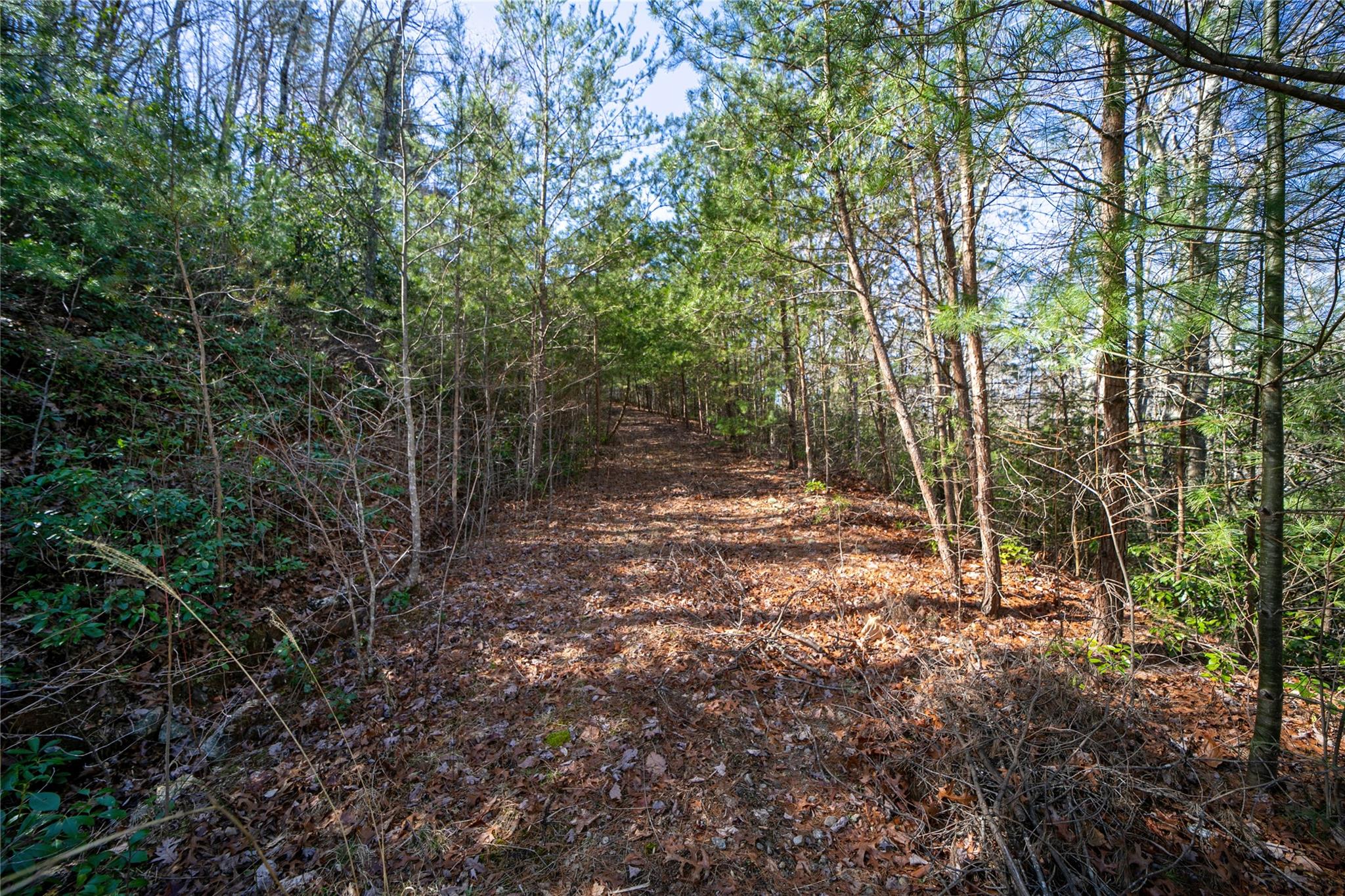 Off) Howard Gap Road Saluda, NC 28773 - Photo 4 of 13 Gallery Image 4