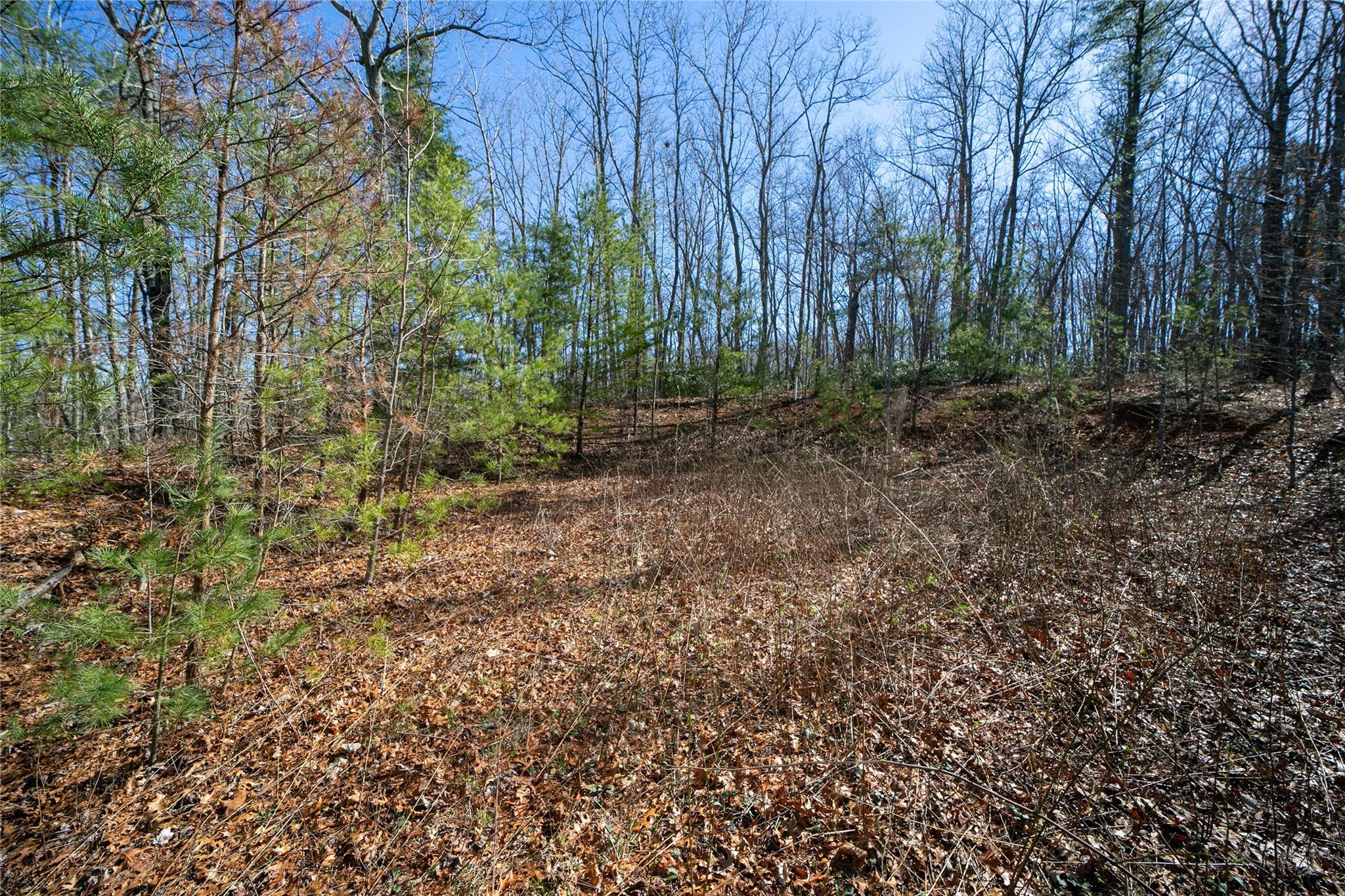 Off) Howard Gap Road Saluda, NC 28773 - Photo 5 of 13 Gallery Image 5