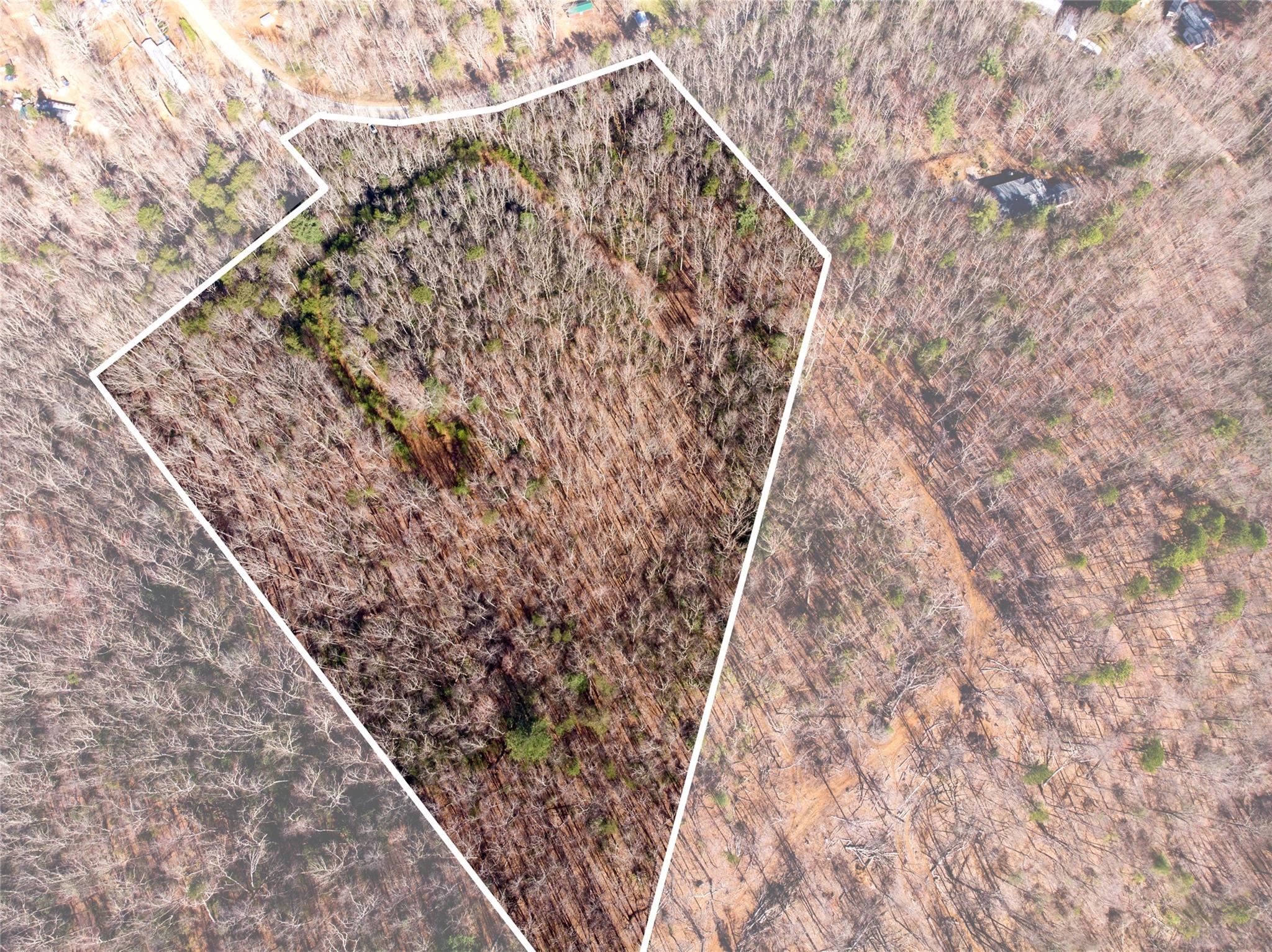 Off) Howard Gap Road Saluda, NC 28773 - Photo 7 of 13 Gallery Image 7