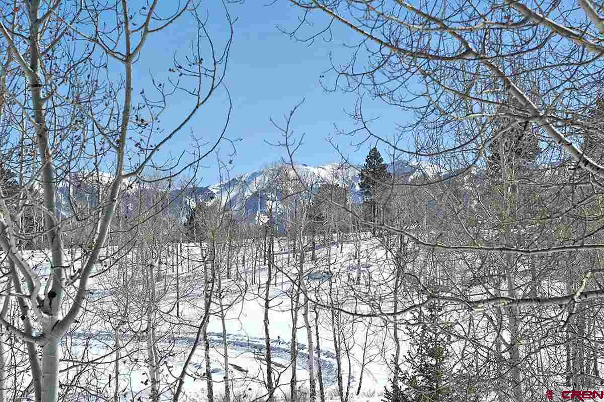 2850 Aspen Drive Ridgway, CO 81432 - Photo 33 of 35