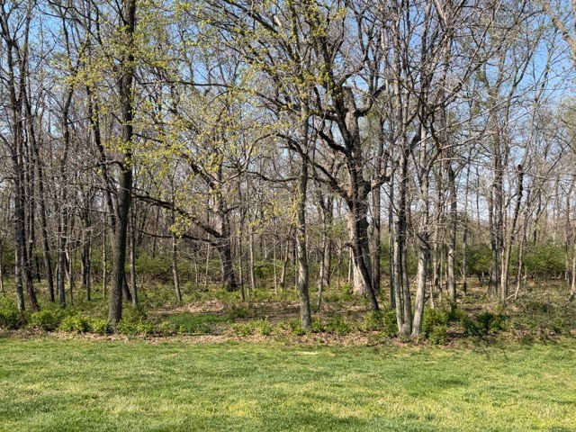 3550 East Bishop Road Mount Vernon, IL 62864 - Photo 47 of 49