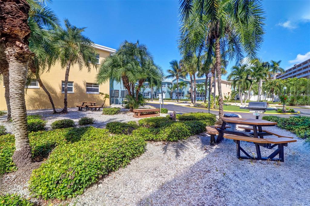 19417 Gulf Boulevard, Unit A202 Indian Shores, FL 33785 - Photo 30 of 35 a garden with palm trees