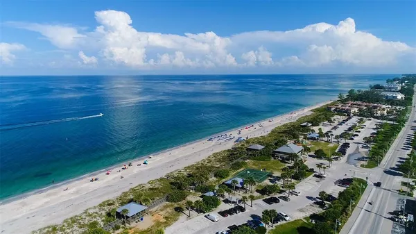 a view of a beach with a plant