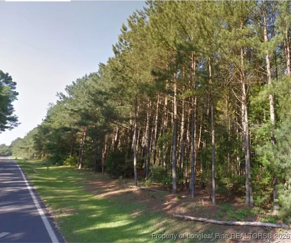 $30,000 | Tbd Tbd Bostic (lot 14) Road, Laurinburg, NC 28352