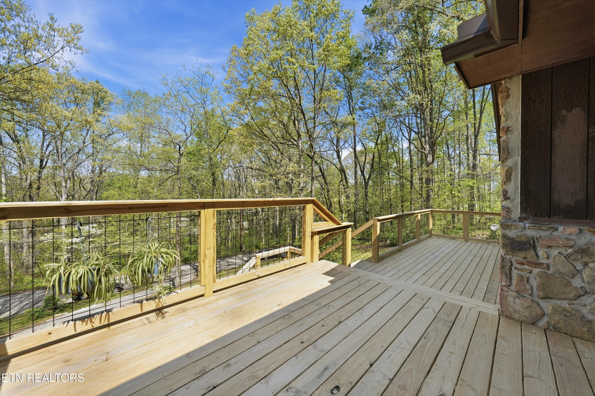 3308 Gumstand Drive Powell, TN 37849 - Photo 5 of 37