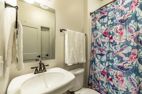 $3,850 | 206 East Live Oak Street, Unit F, Austin, TX 78704