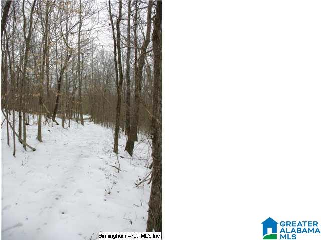 33 County Road, Unit 48 Oneonta, AL 35121 - Photo 14 of 33