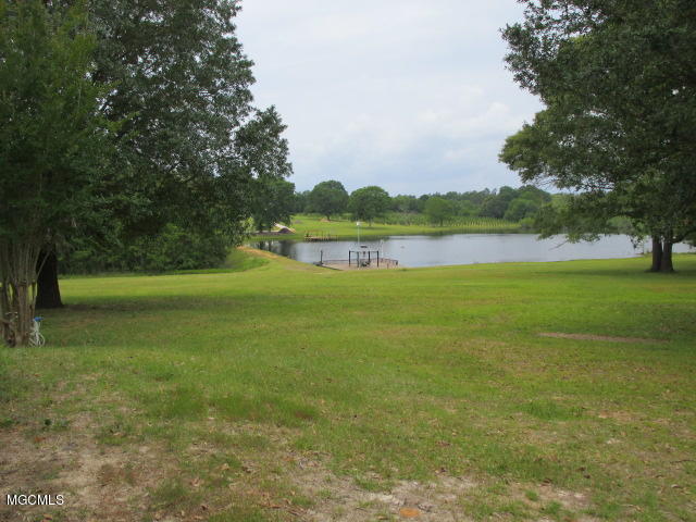 7505 Tanner Williams Road Lucedale, MS 39452 - Photo 3 of 14 Mathers 5-5 006