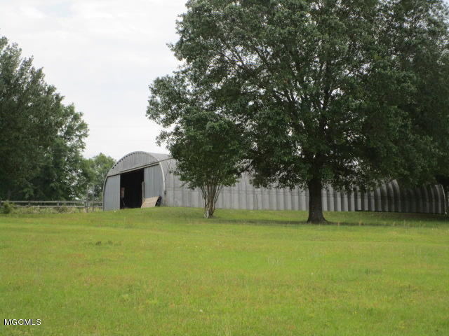 7505 Tanner Williams Road Lucedale, MS 39452 - Photo 6 of 14 Mathers 5-5 011