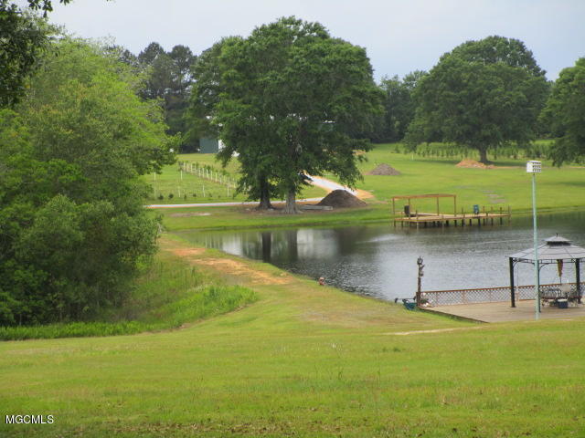 7505 Tanner Williams Road Lucedale, MS 39452 - Photo 7 of 14 Mathers 5-5 009