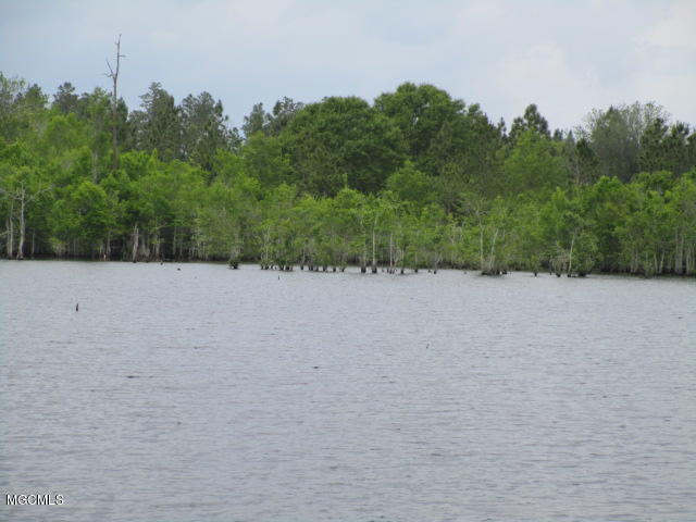 7505 Tanner Williams Road Lucedale, MS 39452 - Photo 10 of 14 Mathers 5-5 019