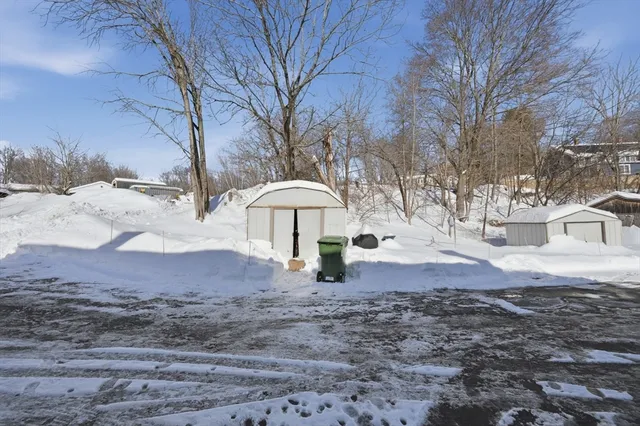 a view of a backyard with large trees