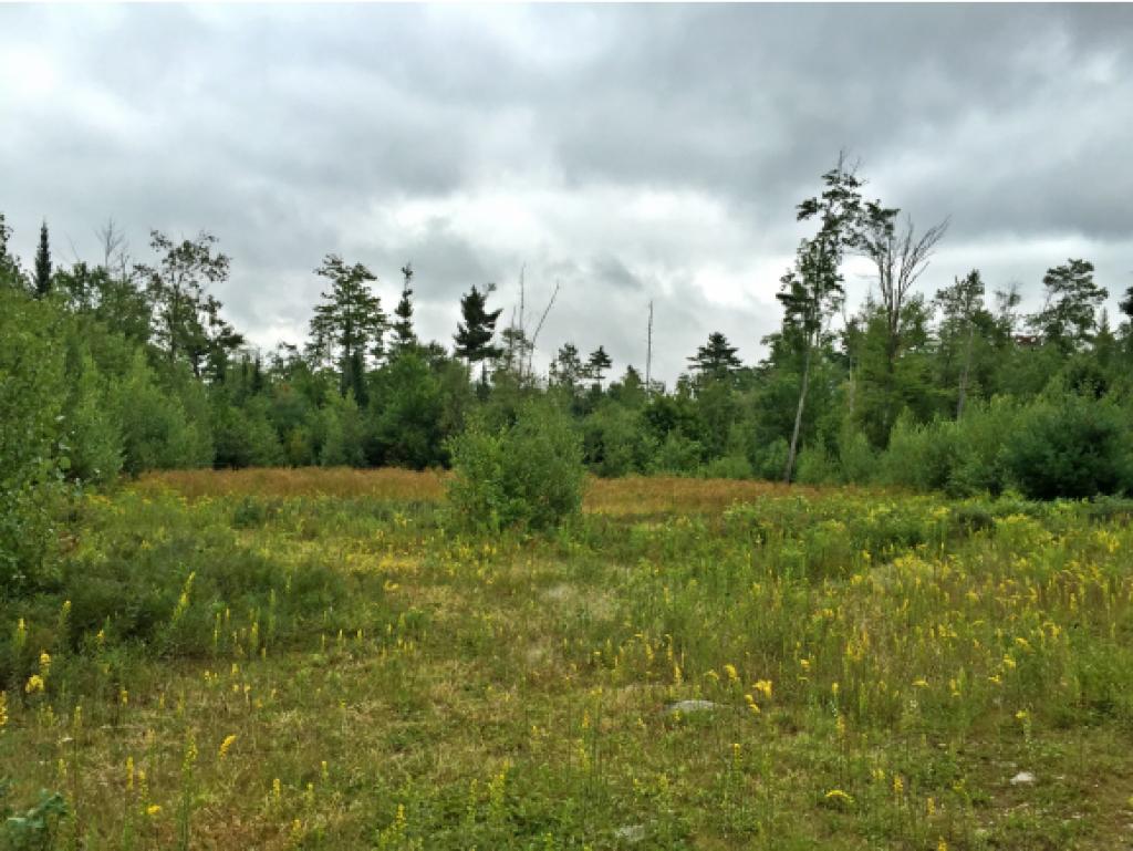 Lot R2-31 Lot R2-31 Long Swamp Road Lebanon, ME 04027 - Photo 1 of 3
