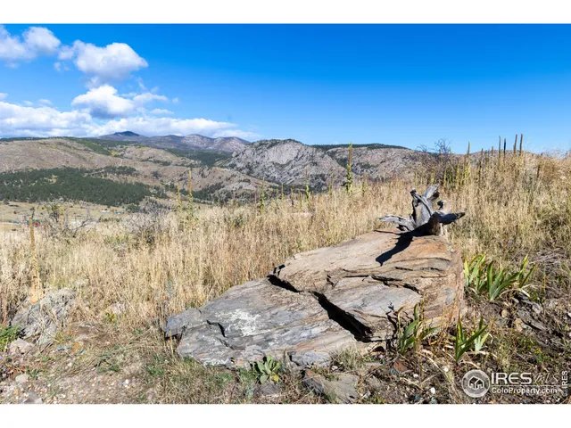 $150,000 | 981 Palisade Mountain Drive, Drake, CO 80515