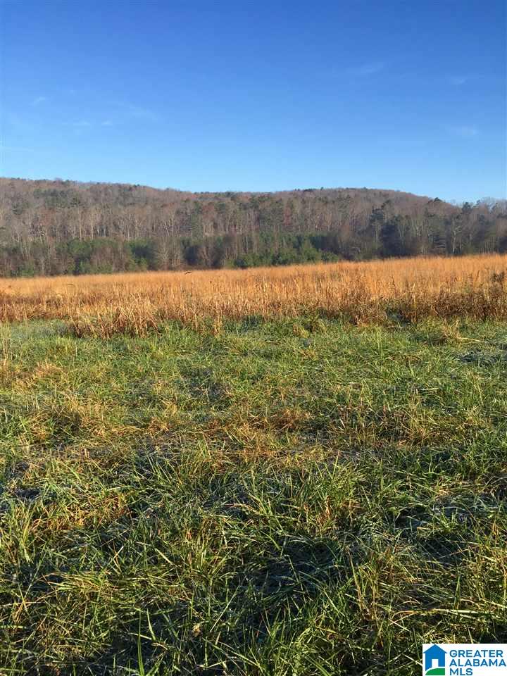 2801 Highway 42 Oneonta Al Oneonta, AL 35121 - Photo 5 of 7