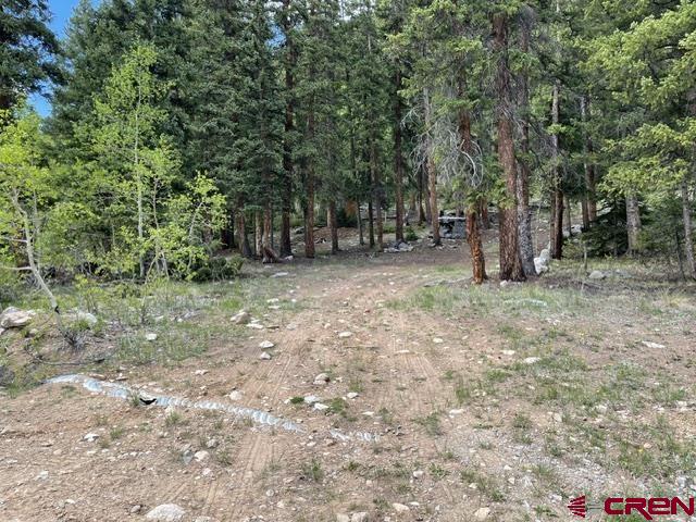 766 Rd Pitkin Co 81241 Road Ohio City, CO 81237 - Photo 8 of 18