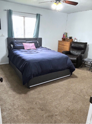 570 250 East Parowan, UT 84761 - Photo 6 of 27 Carpeted room featuring a double window with light blue drapes, and a ceiling fan with integrated lighting