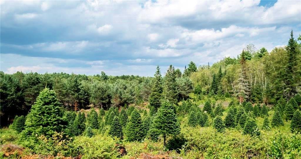 511 Augusta Road Washington, ME 04574 - Photo 25 of 29 Photo