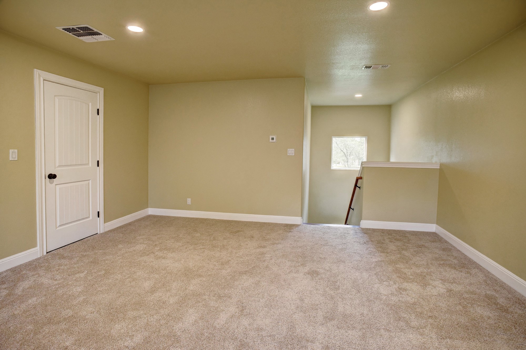 115 Pine Point Cove Elgin, TX 78621 - Photo 27 of 39 A versatile open space with soft carpeting and natural light, ready for personalization.