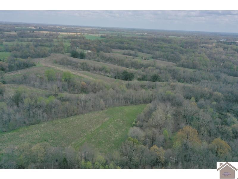 5851 Reuben Road Water Valley, KY 42085 - Photo 24 of 35 Photo 24