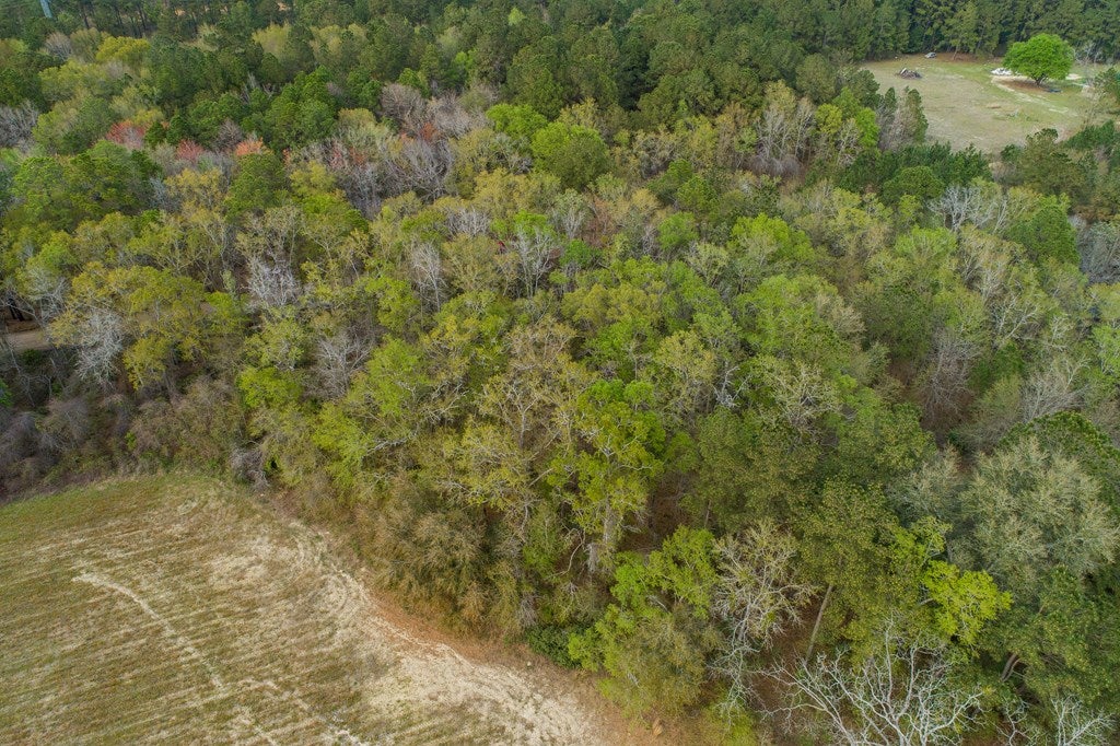 0 Coleman Road Dixie, GA 31629 - Photo 3 of 14 Gallery Image 3
