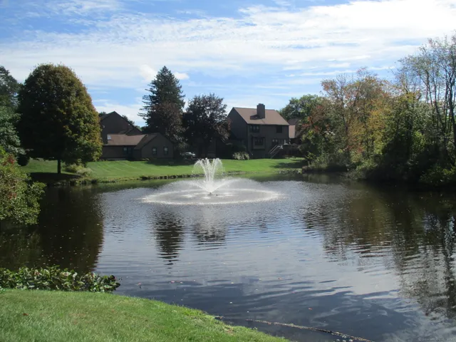 a view of a water pond with green space