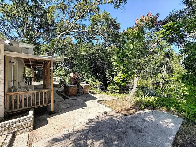 a view of a yard with plants and trees