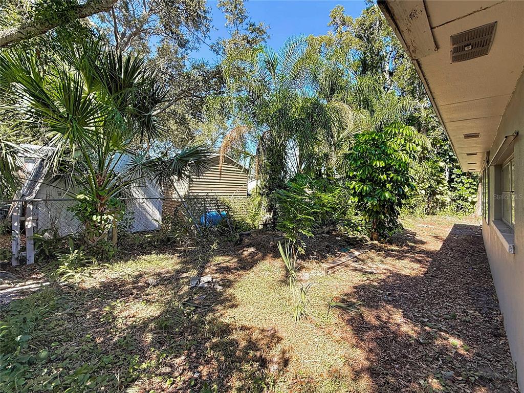 1614 Braund Avenue Clearwater, FL 33756 - Photo 25 of 29 a view of a yard with plants and trees