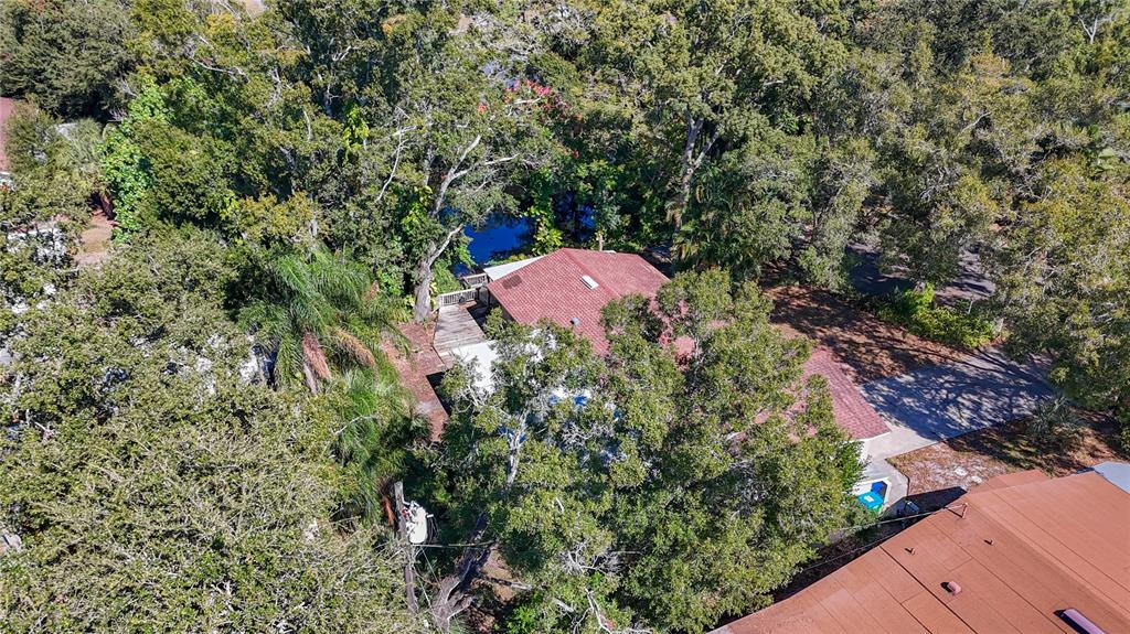 1614 Braund Avenue Clearwater, FL 33756 - Photo 27 of 29 a view of a backyard