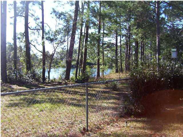 a view of a yard with trees