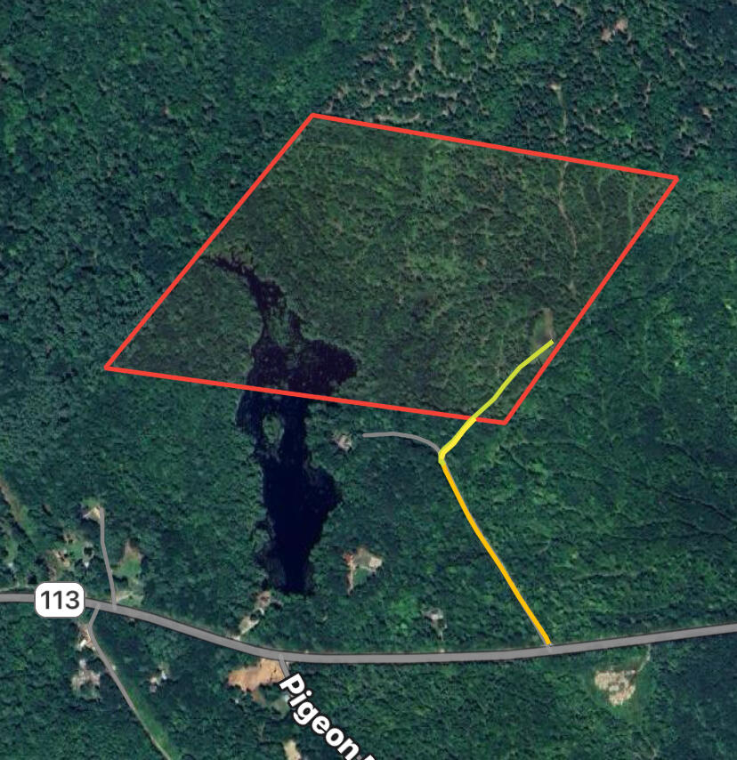 65-ac Town Farm Road West Baldwin, ME 04091 - Photo 16 of 16 IMG_2783