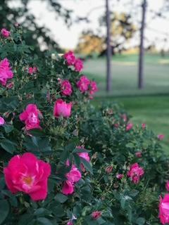 2095 Fairways Lane Roseville, MN 55113 - Photo 48 of 48