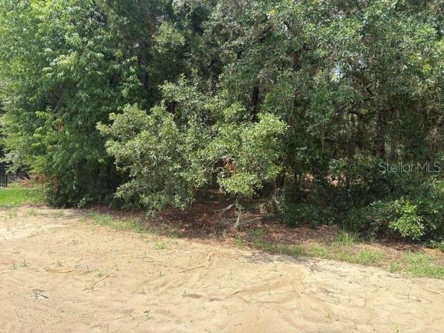 17889 Southwest 61st Ln Road Dunnellon, FL 34432 - Photo 8 of 18