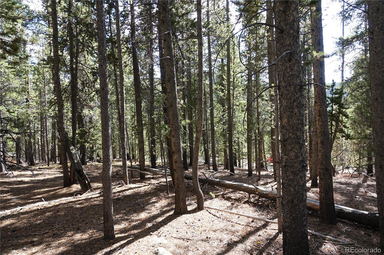 0 Loch Lomond Road Idaho Springs, CO 80452 - Photo 1 of 33 not sure